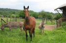 FerienhausBelgien - : Gite la Randonnee