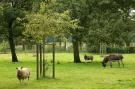 FerienhausBelgien - : Goed van den Bogaerde