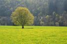 FerienhausBelgien - : Jardin de l'Ourthe 22