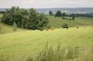 Holiday homeBelgium - : Jardin de l'Ourthe 22