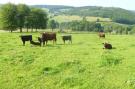 VakantiehuisBelgië - : La Ferme Claudlisse