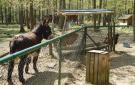 FerienhausBelgien - : Village De Vacances Oignies