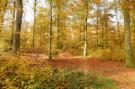 FerienhausBelgien - : Roulotte Papillons