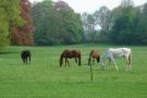 Holiday homeBelgium - : Le Clos du Château