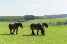 FerienhausBelgien - : La Ferme Tirou