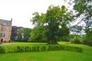 FerienhausBelgien - : Le Vieux Tilleul du Château