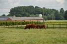 FerienhausBelgien - : Casteeldoorn