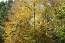 FerienhausBelgien - : Les Jardins de l'Ourthe 16