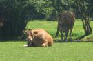 FerienhausBelgien - : La Ferme Sainte-Adèle