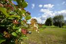 VakantiehuisBelgië - : Zingem