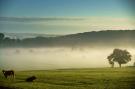 Holiday homeBelgium - : La Moineaudière