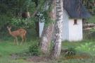 VakantiehuisBelgië - : La Forêt