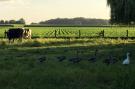 Holiday homeBelgium - : vakantiehuis Romanie