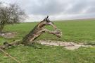 FerienhausBelgien - : La ferme de Filot