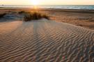 VakantiehuisBelgië - : Green Garden blok 10 0002