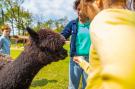 FerienhausBelgien - : Resort Hoge Kempen 10