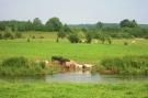 VakantiehuisBelgië - : Le Moulin Sylvestre