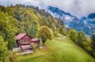 FerienhausSchweiz - : Heidi Chalet - Panoramic View - Modern Part