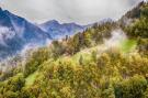 FerienhausSchweiz - : Heidi Chalet - Panoramic View - Modern Part