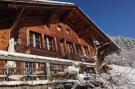 FerienhausSchweiz - : Gstaad Paradise View Chalet with Outdoor Jacuzzi