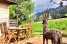 Holiday homeSwitzerland - : Le Petite Chalet  [16] 