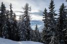 Holiday homeSwitzerland - : Chalet Holleri