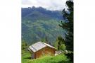 FerienhausSchweiz - : Chalet Perle des Collons