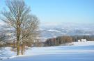 FerienhausTschechien - Nordböhmen/Riesengebirge: Borivoj