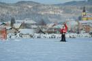 Holiday homeCzech Republic - North Bohemia/Giant Mountains: Dana