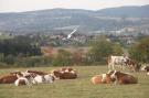 VakantiehuisTsjechië - N-Bohemen/Reuzengebergte: Zdenek