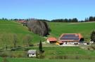 VakantiehuisDuitsland - Zwarte woud: Brigachmühle