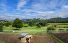 FerienhausDeutschland - : Ferienpark Schwarzholz