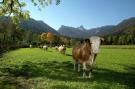 Holiday homeGermany - : Im Chiemgau