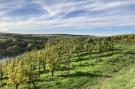 Holiday homeGermany - : Ferien-Weingut Kirch