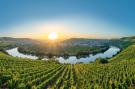 Holiday homeGermany - : Ferien-Weingut Kirch