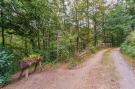 VakantiehuisDuitsland - Harz: Historisches Waldhaus