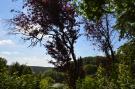 Holiday homeGermany - Eifel: Hutmacher