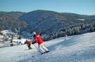 VakantiehuisDuitsland - Zwarte woud: Schwarzwald