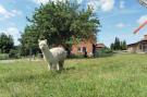 FerienhausDeutschland - : Zur Windmühle