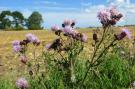 FerienhausDeutschland - : Seeblick