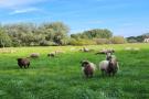 FerienhausDeutschland - : Ferienhaus Sternchen - Insel Rügen