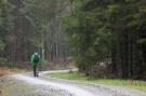 FerienhausDeutschland - Harz: Moni