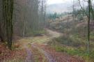 FerienhausDeutschland - Harz: Moni