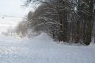 VakantiehuisDuitsland - Harz: Moni