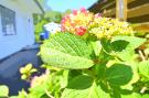 VakantiehuisDuitsland - : Die Strandmuschel am Meer