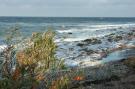 FerienhausDeutschland - : Ostsee-Haus Windland auf der Insel