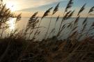 VakantiehuisDuitsland - : Ostsee-Haus Windland auf der Insel