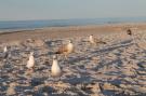 FerienhausDeutschland - : Arko 4  am feinsandigen Strand