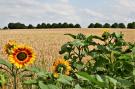 VakantiehuisDuitsland - : Am Ostsee Radweg