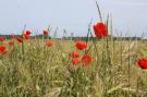 FerienhausDeutschland - : Gartenblick